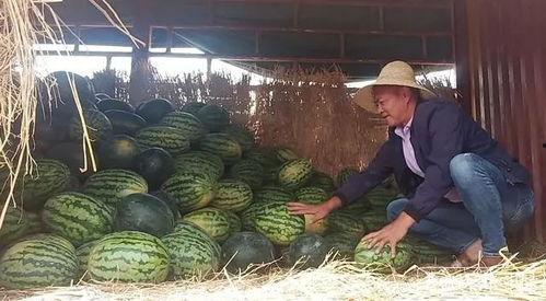 千佛山娱乐团队吃瓜群众,吃瓜群众揭秘幕后故事